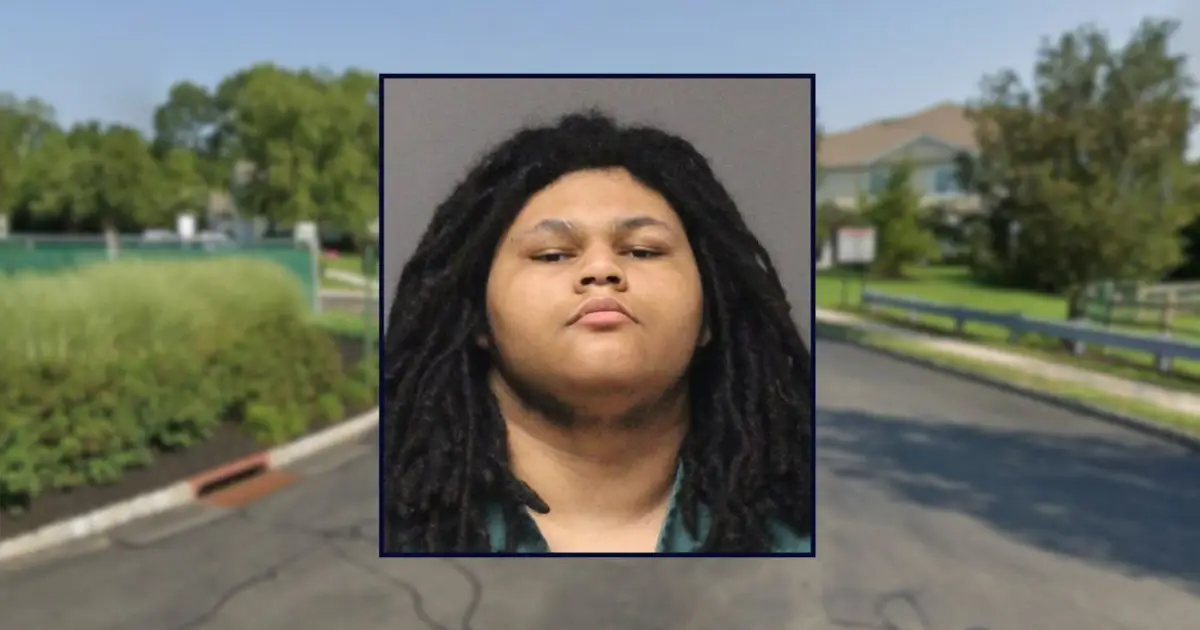 'Somebody was murdered': Teenager casually admits to killing grandmother found with knives 'protruding' from her face and neck in chilling 911 call, police say