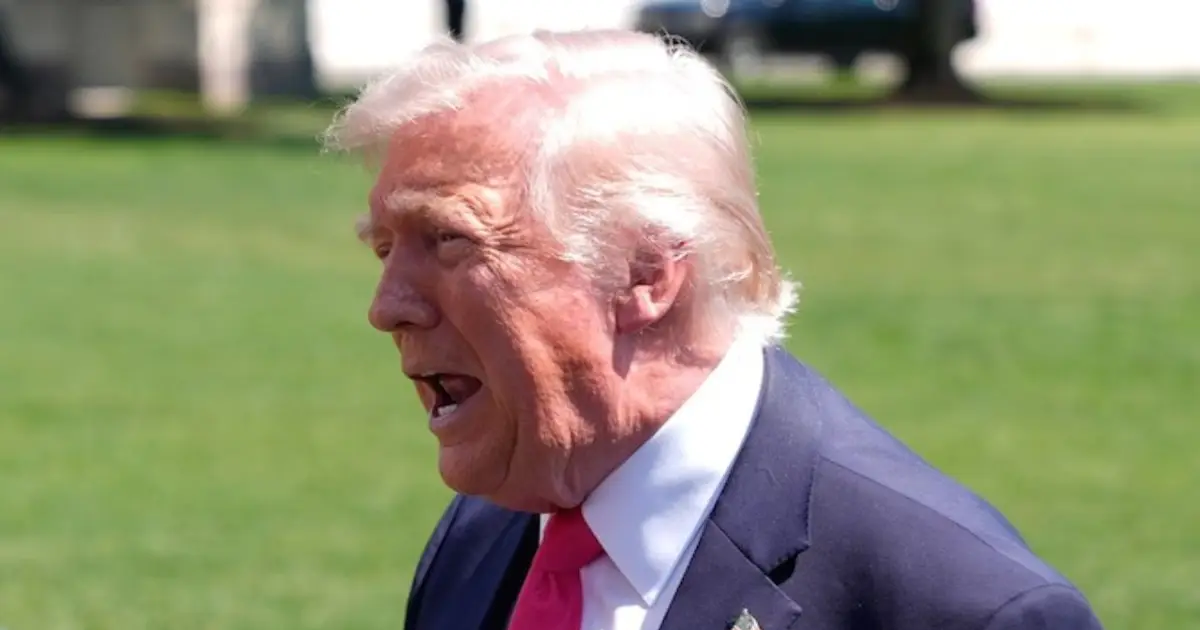 'Have not shown good cause': Judge refuses to halt scathing ruling that referred Trump lawyer to Florida Bar, put president on hook for legal fees as a sanction
