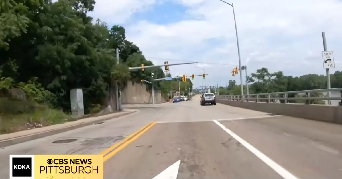 Man executes driver in front of him for not pulling up far enough at traffic light and then brake-checking him: Police