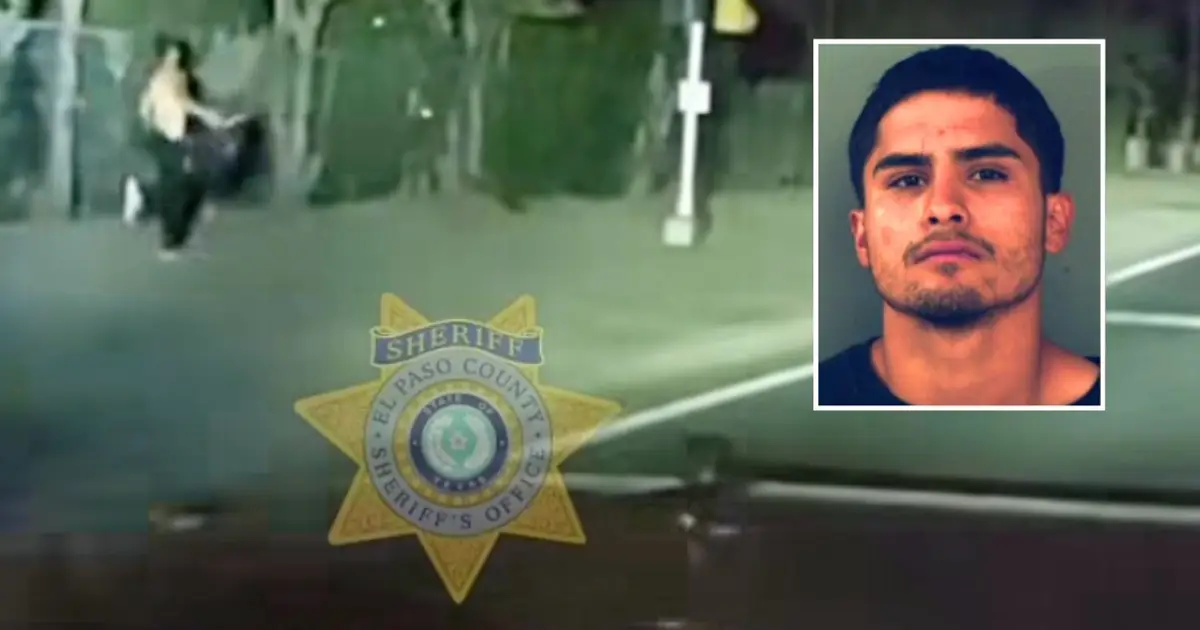 'Let me call my mom': Man begs for his mother after speeding off from traffic stop and crashing car, cops say