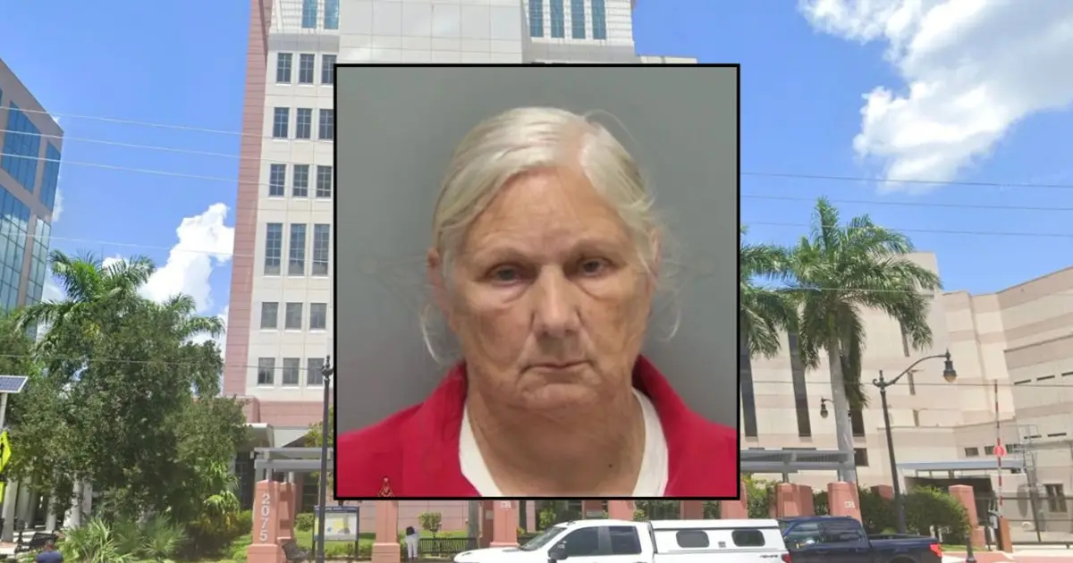 Premature baby's in-home nurse told oxygen monitor to 'shut up,' muted alarms as infant suffered medical emergency: Police