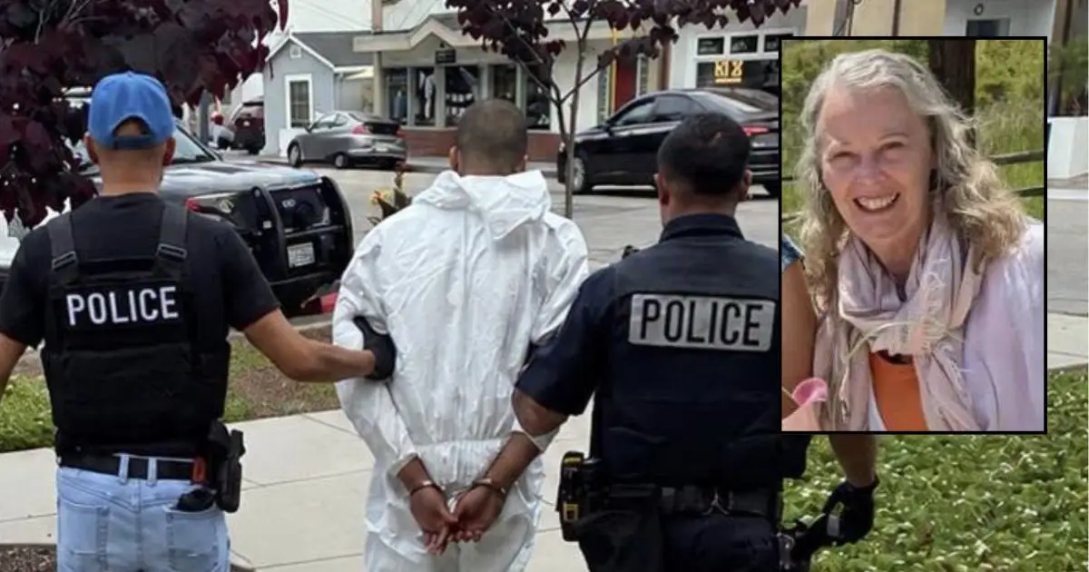 73-year-old store manager leaving the mall to cash her paycheck was stabbed to death by 19-year-old who just felt like killing someone that day: Police