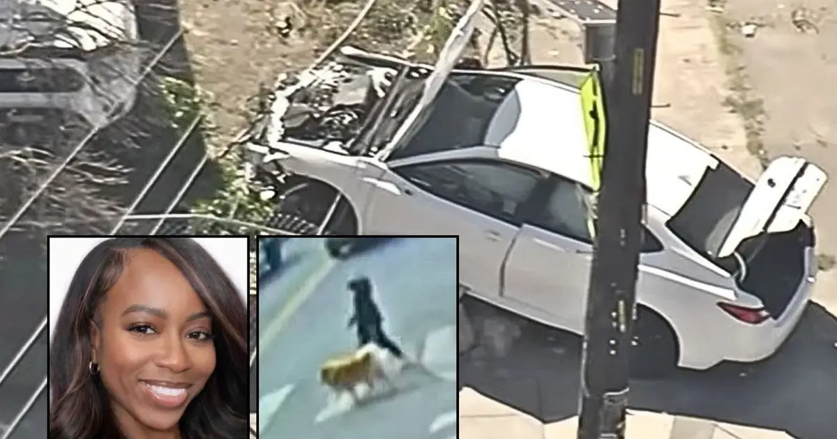 Woman has to relearn how to walk and speak again after random kids, ages 7 and 4, mowed her down with their parents' car as she walked dog: Family