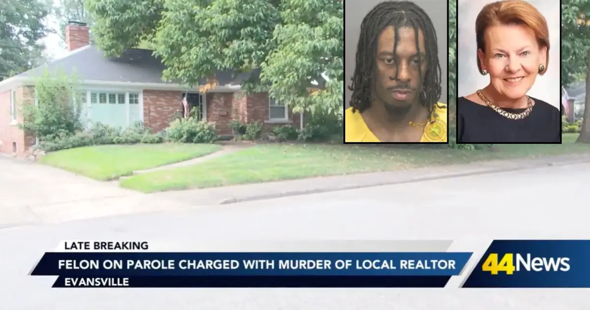 Man who strangled 75-year-old realtor to death and left her in the basement of her home pleads guilty