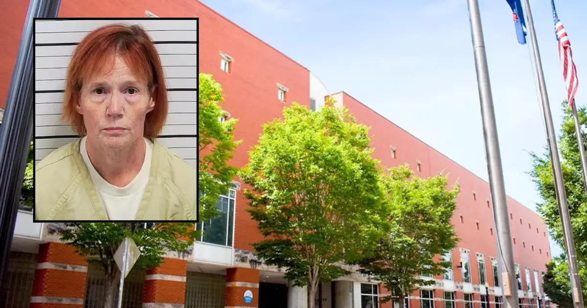 Woman angry with neighbor putting up fence fires shot at him after counting down '3, 2, 1': Police