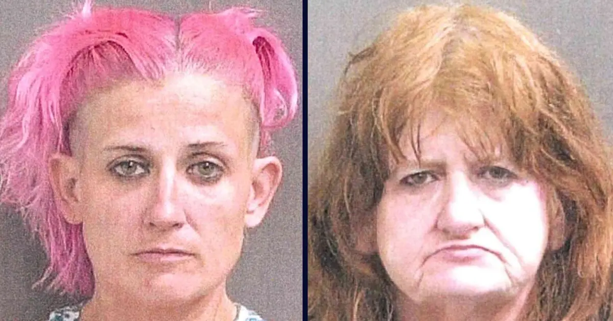Baby found wearing diaper full of trash and bugs, leading to the most horrific rash DCS workers 'have ever seen' as mom and grandma blame cheap, generic brand:…