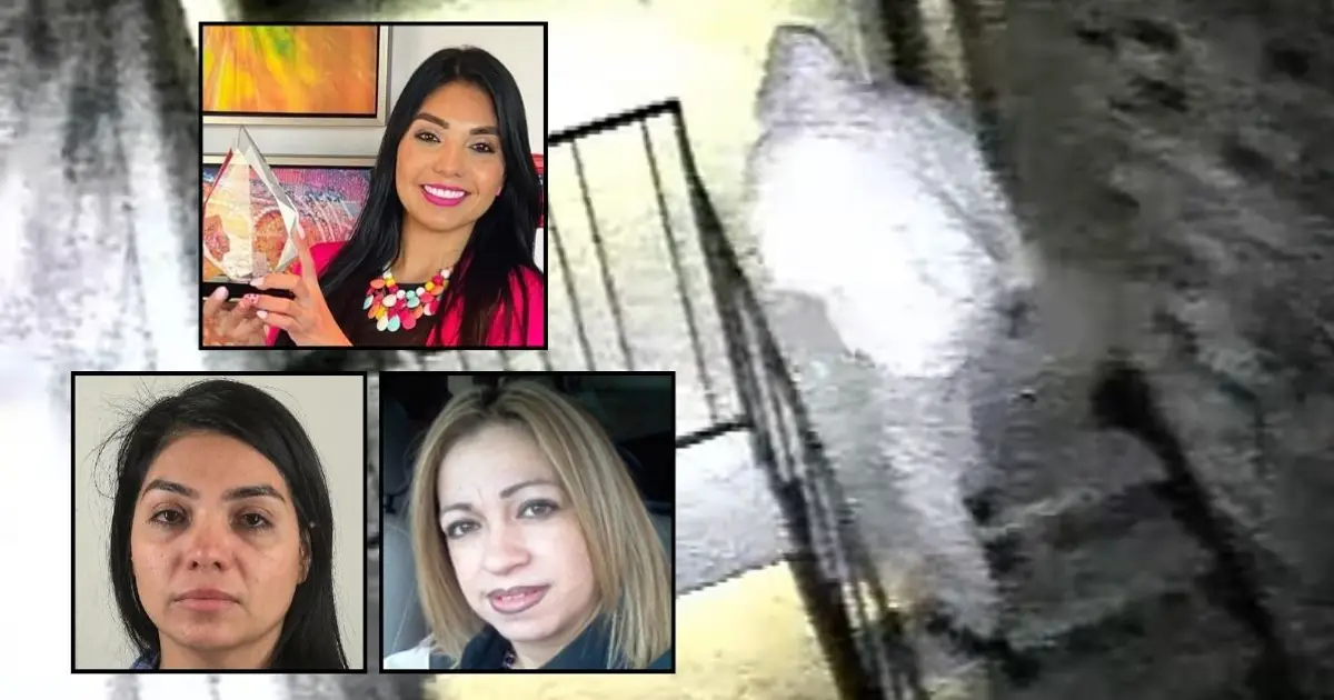 Realtor known as 'sweet lady' stabbed woman 100 times, then traveled the world and started a family — now her secret is finally out: Cops