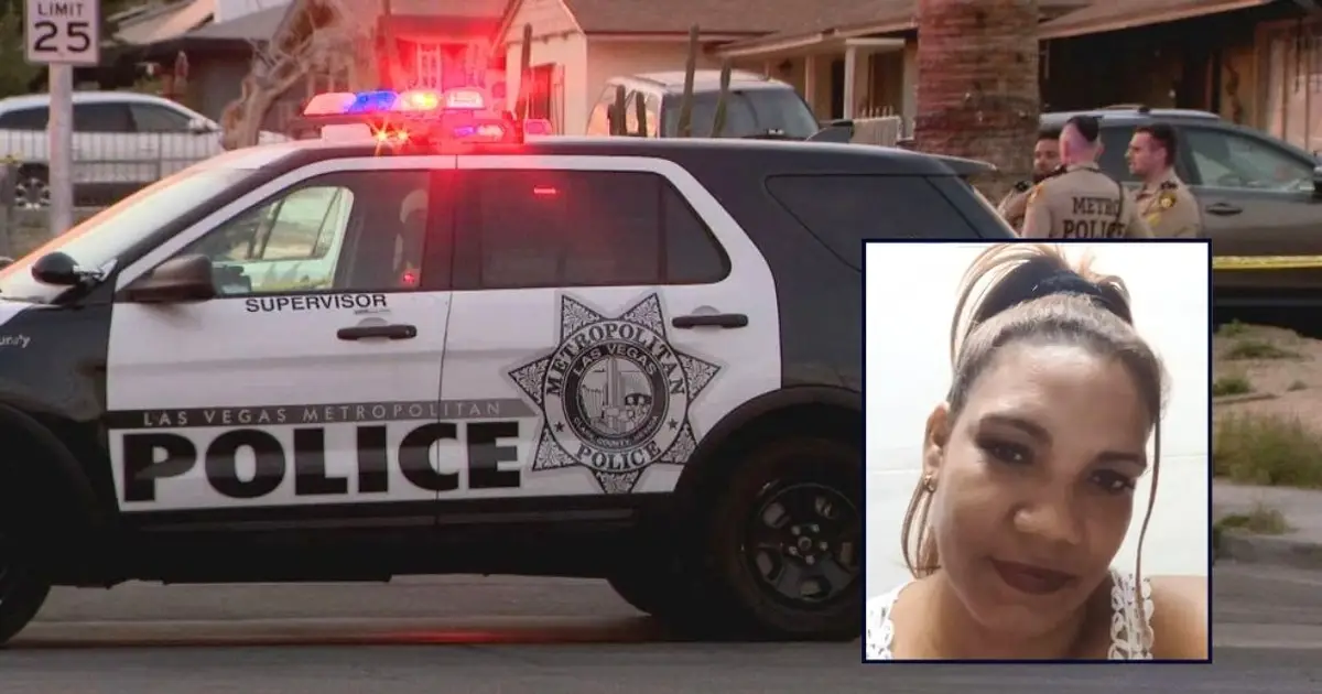 'He snapped': Man sick of unemployed girlfriend not pulling her weight in relationship stabbed her to death after she refused to make him rice, lawyer says