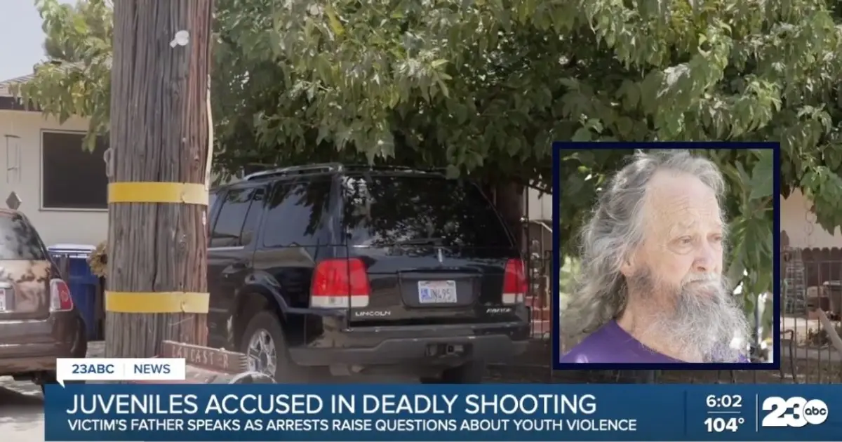 Dad held his son's hand after watching him get gunned down at mailbox by boys who are 12, 13 and 16 years old while telling him 'stay with us, stay with us,' h…