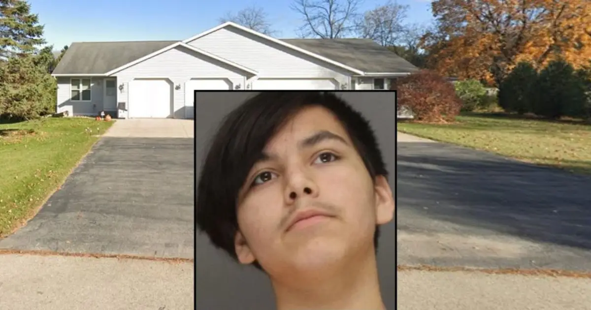 Teen accused of attacking his mom with 2-foot-long hedge trimmer after she 'deleted rap videos' off his YouTube to remain in adult court: Judge