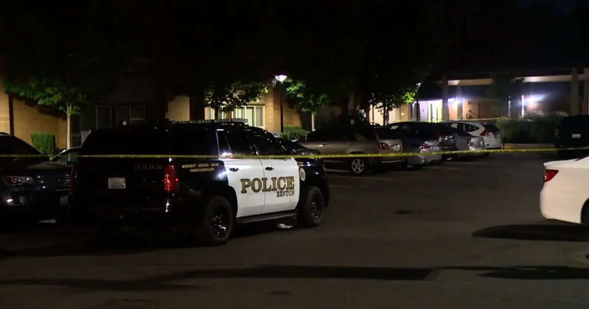 Man accused of stabbing his mother to death in her own home said 'it felt great' to end her life, police say