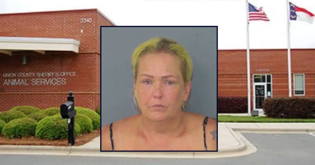 Grandma left infant in hot car parked between 2 patrol cars on 96-degree day and then 'asked about receiving free kittens' after her arrest, sheriff's office s…