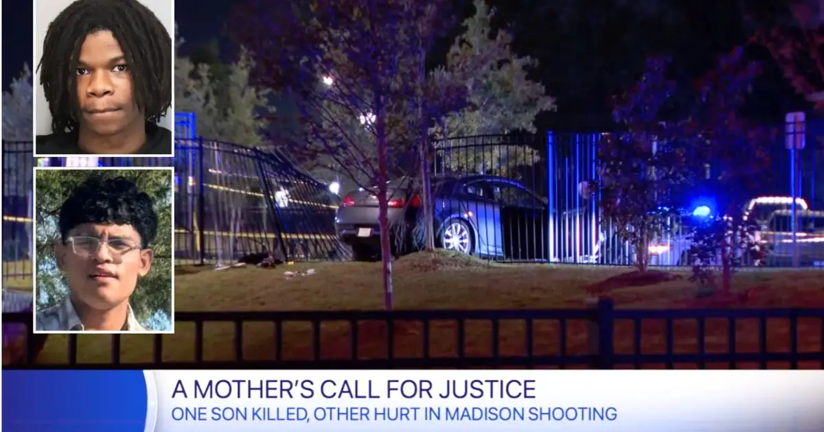 Teenager ambushed and killed 22-year-old man delivering DoorDash orders with his brother: Police