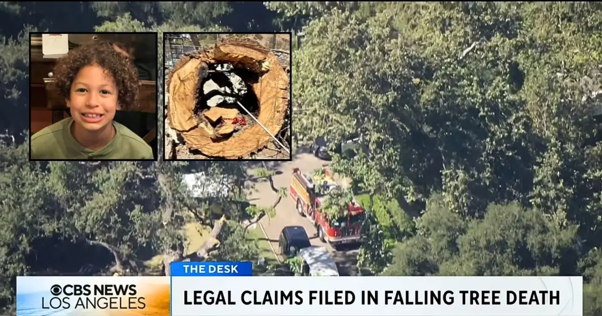 Parents who watched 8-year-old son get crushed to death at summer camp by 'massive' oak tree branch that was 'just waiting to fall' will get millions