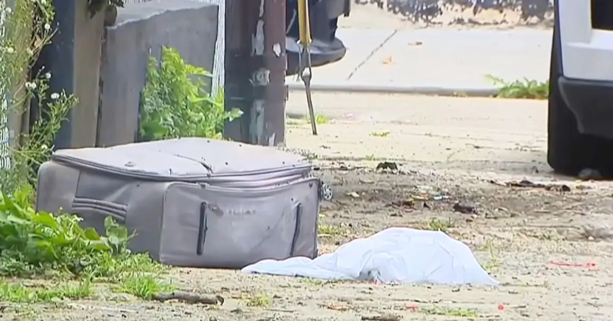 'Took me 2 to 3 days to get the smell out': Man whose body was stuffed in suitcase and dumped in alley was likely slaughtered at his home, cops say