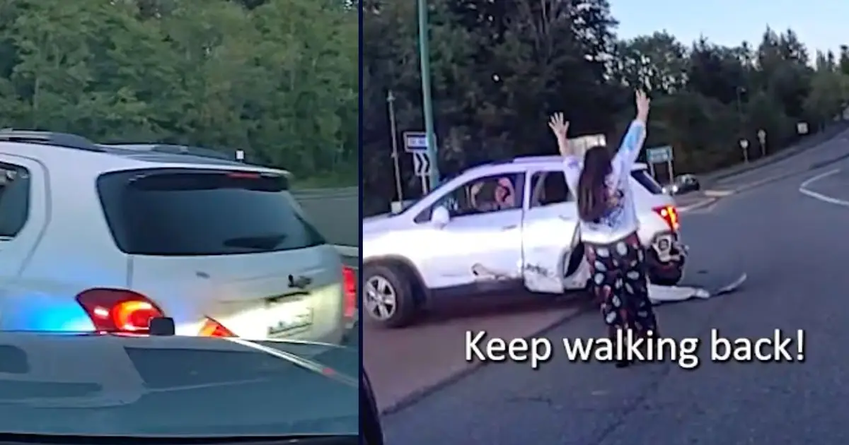 'Begging the driver to stop': Woman kicks down door looking for teenage girl and then leads deputies on high-speed chase through multiple counties, sheriff's o…