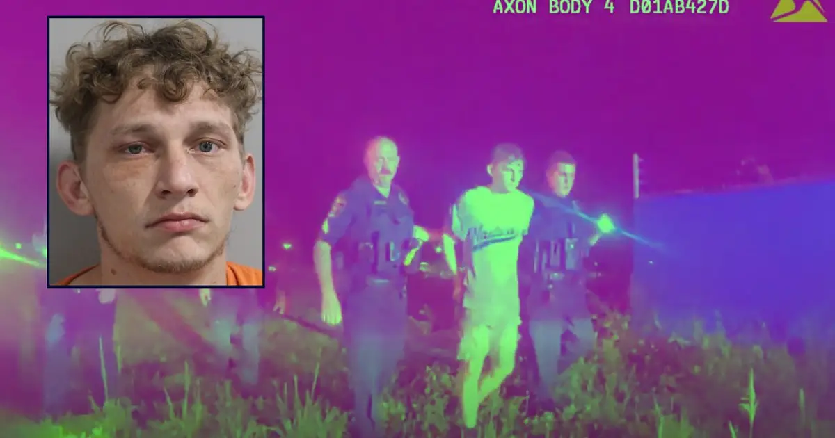 Cops rescue toddler, baby after drunken man crashes car and flees into swamp he didn't know was there while carrying the kids: Police