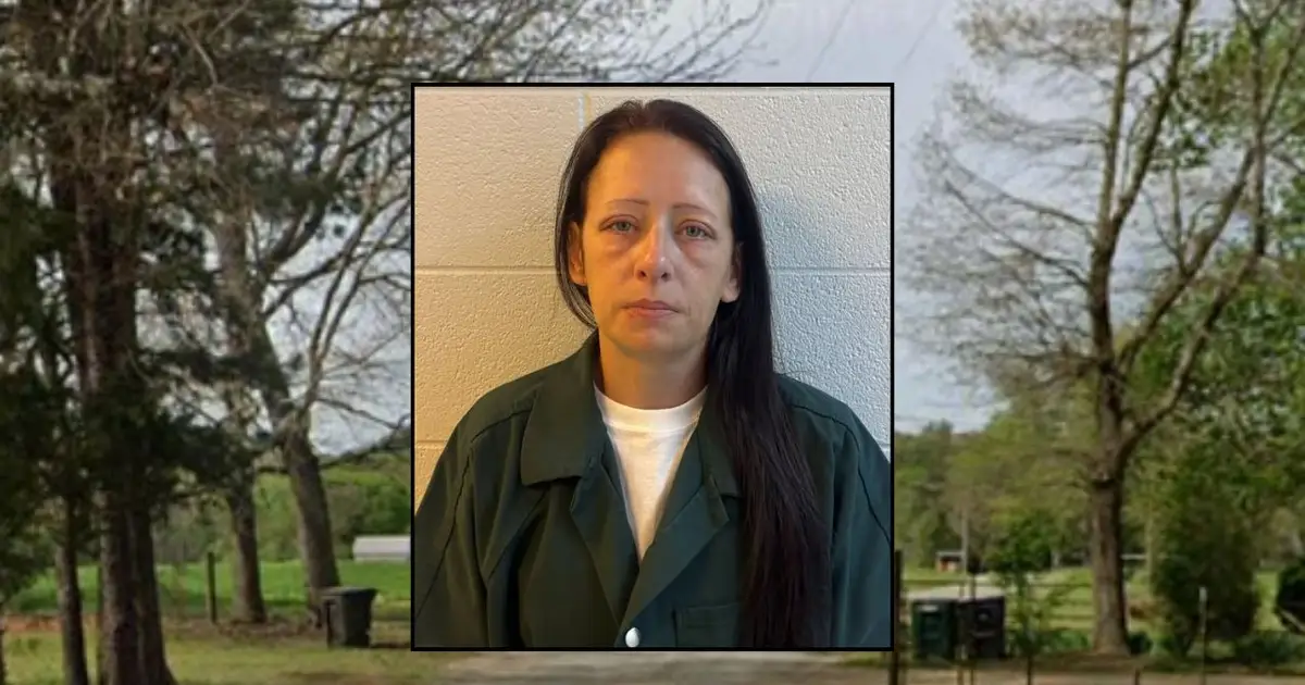 Great-aunt fatally beat toddler while 'providing care for the child': Police