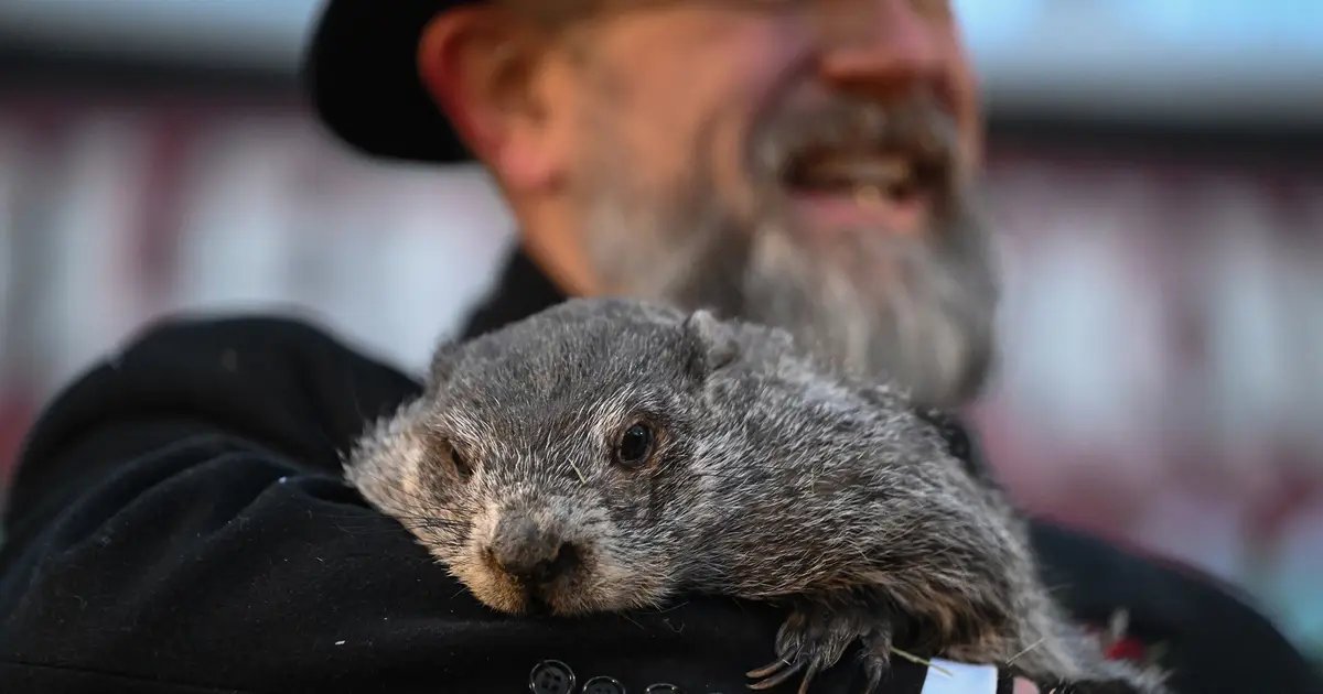 Groundhog Day : Punxsutawney Phil is said to have seen his shadow , forecasting 6 more weeks of wintry weather