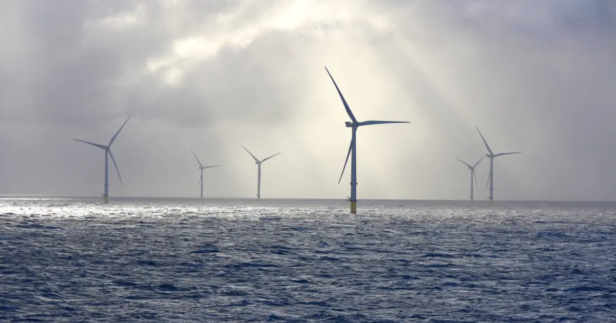 Trump admin abandons fight against wind energy as clean energy output surges