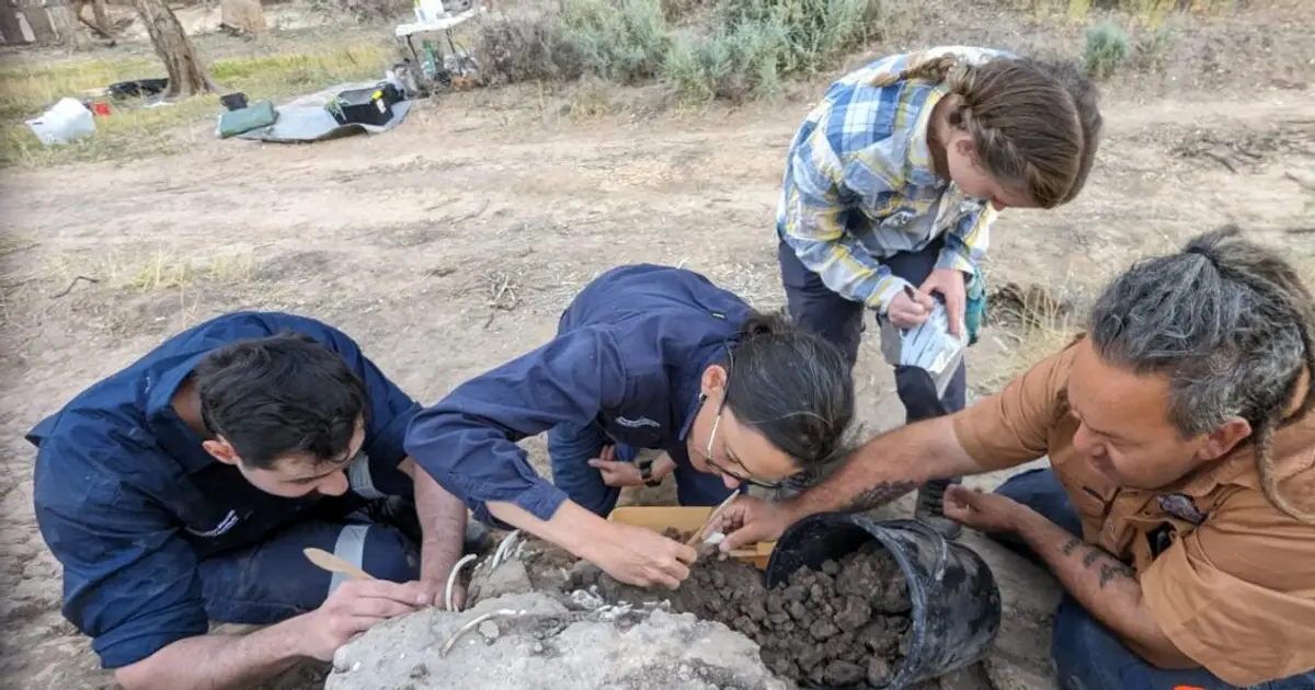 Australian Aboriginals cared for a dingo's grave for decades