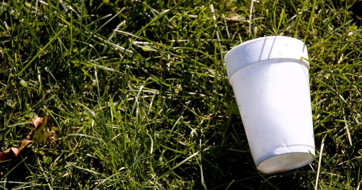 Your empty cuppa could capture carbon