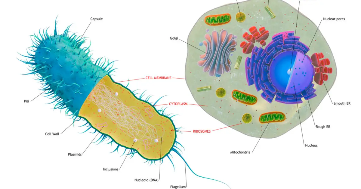 The first complex cells had genes from a complex mix of species