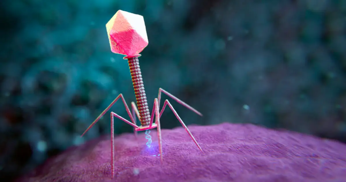 Large genome models used to design new viruses