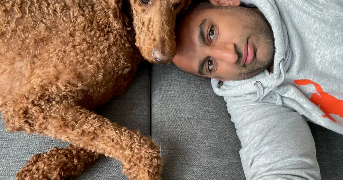 Pet project emerges from Seattle startup studio: a new app that connects dogs and their parents