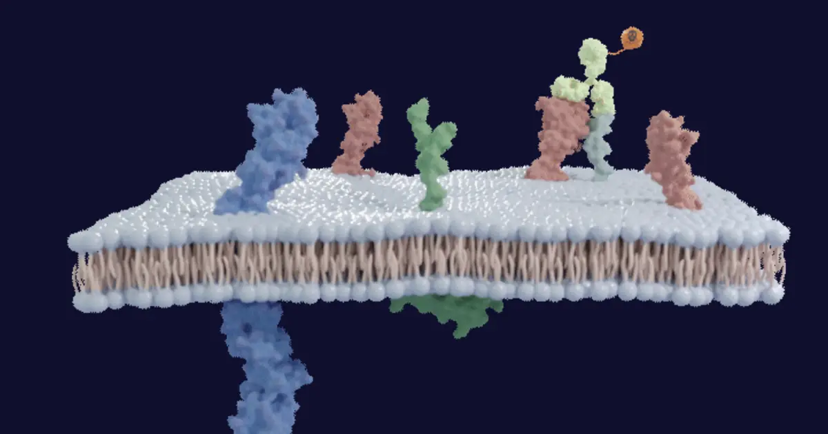 InduPro raises $77M, begins first human trial of cancer drug
