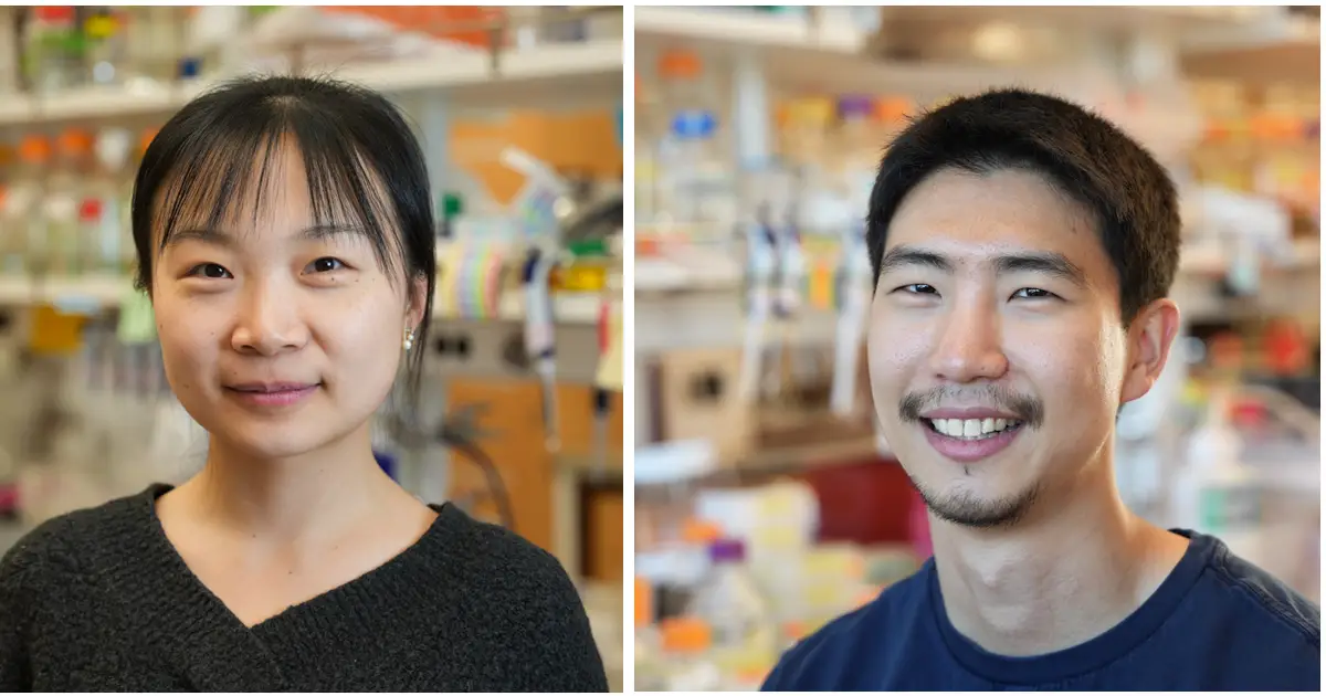 Institute led by UW Nobel winner uses AI to build molecular scissors targeting disease proteins