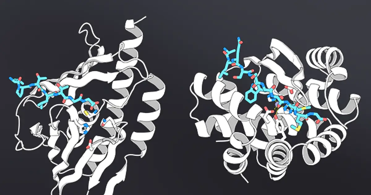 UW protein institute led by Nobel winner unveils its first AI model co-developed with Nvidia