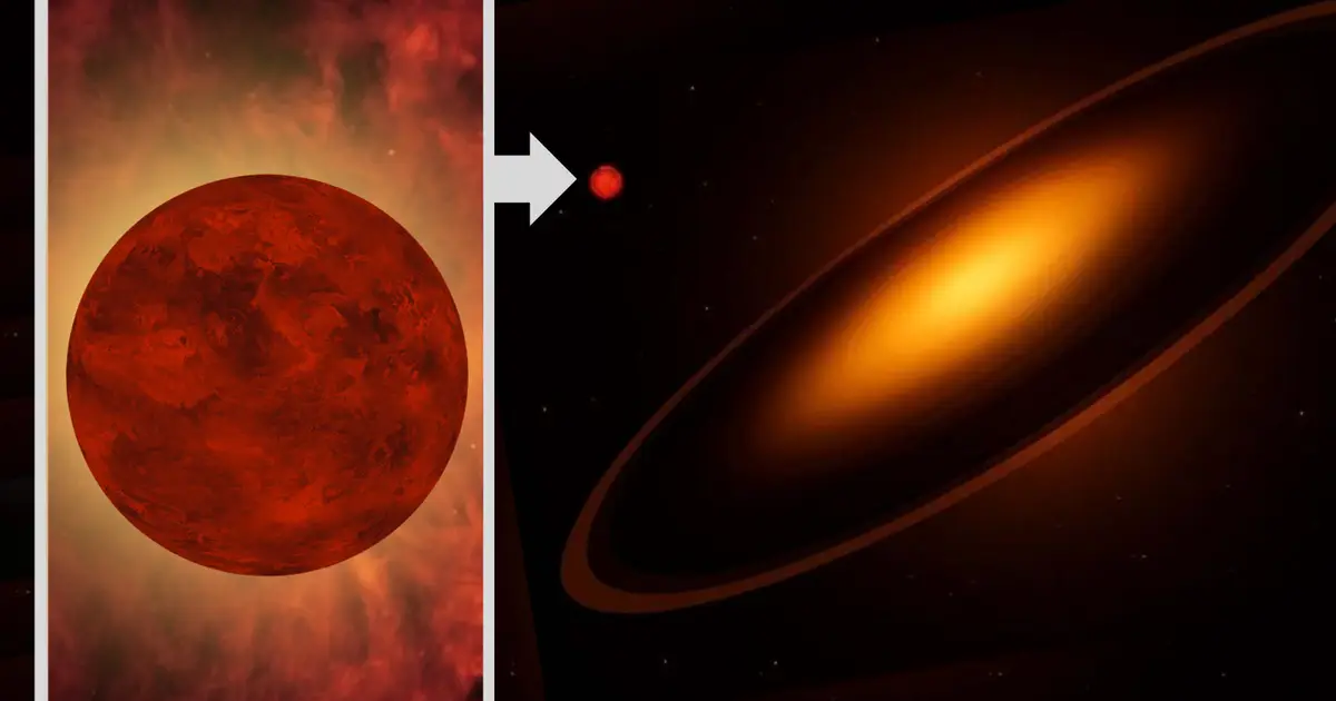 A mystery object is dimming a distant star . Could it be a massive exoplanet , or a  failed star ?