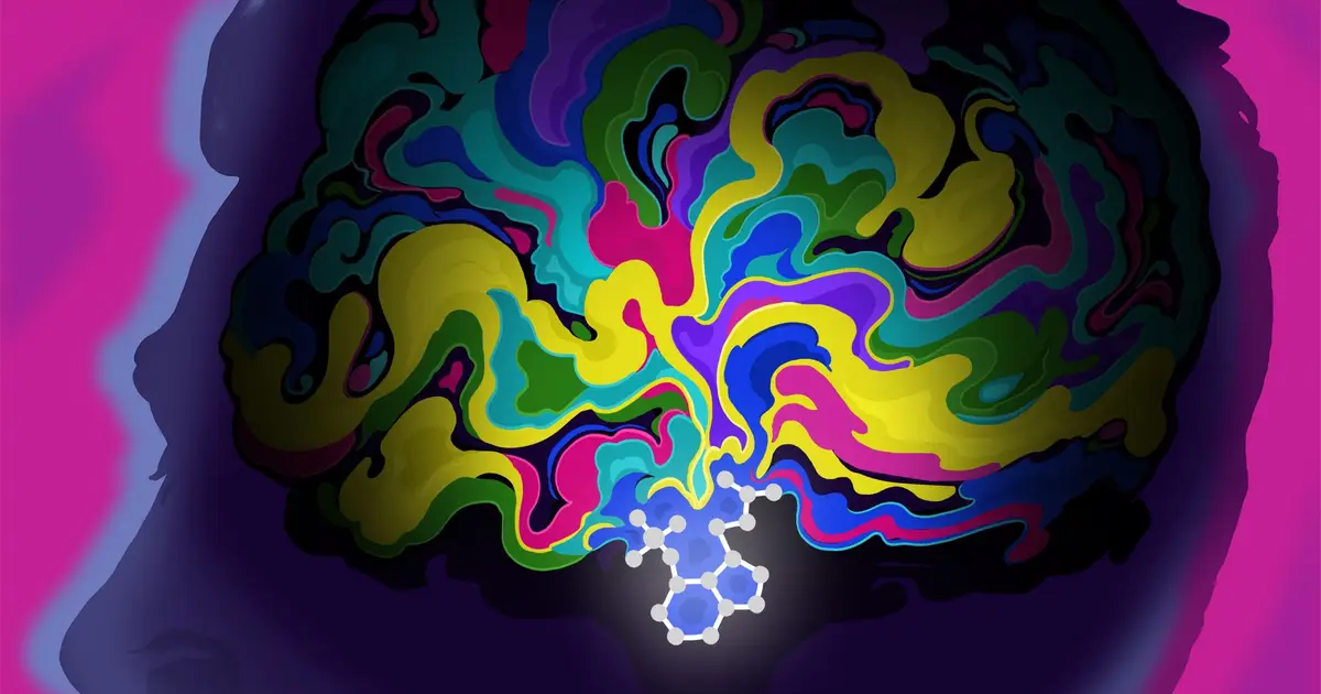Psychedelics may rewire the brain to treat PTSD . Scientists are finally beginning to understand how .