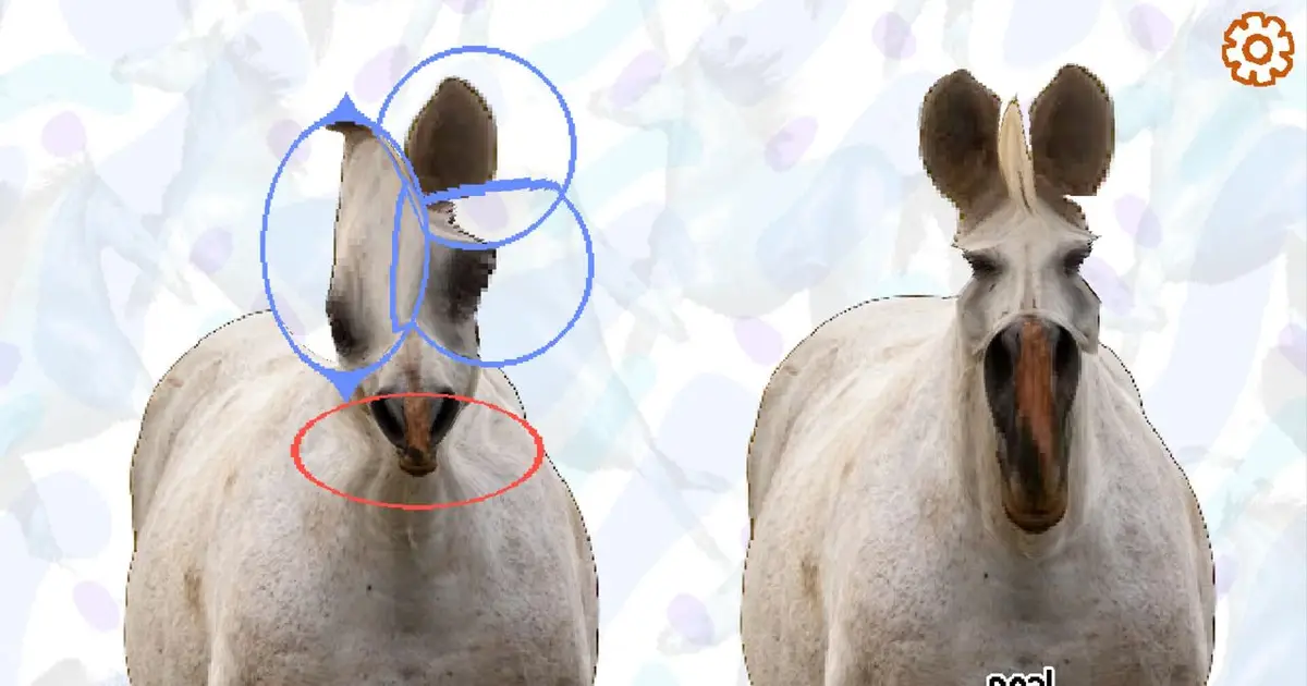This week's most compelling new Steam game is Horse Magnifier, which is about magnifying horses
