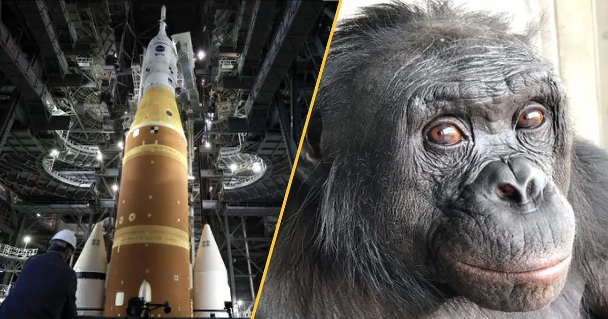 Science news this week : Anomalies inside Earth , leak on Artemis II , and how psychedelics may help treat PTSD