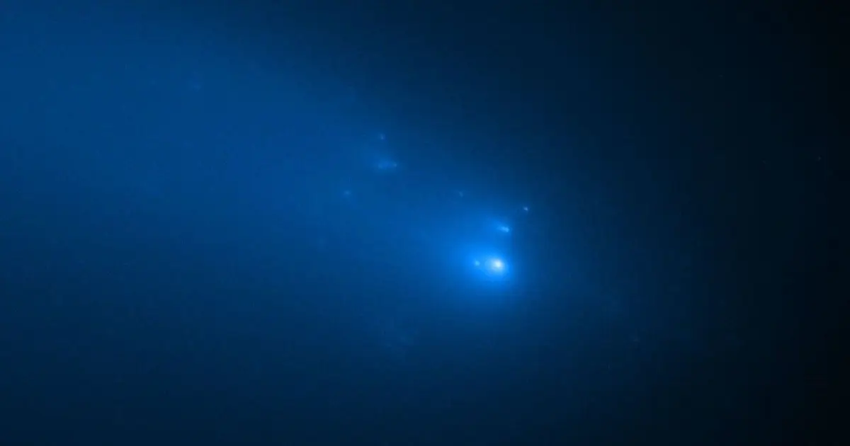 Could the remains of a  dead  comet still be in the solar system ?