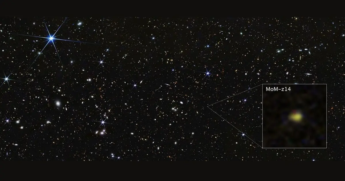 James Webb Space Telescope finds most distant galaxy ever detected :  It looks nothing like what we predicted