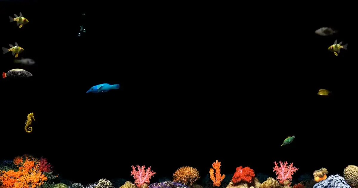 The iconic Windows fish screensaver was inspired by a dentist's office, which makes a lot of sense when you think about it