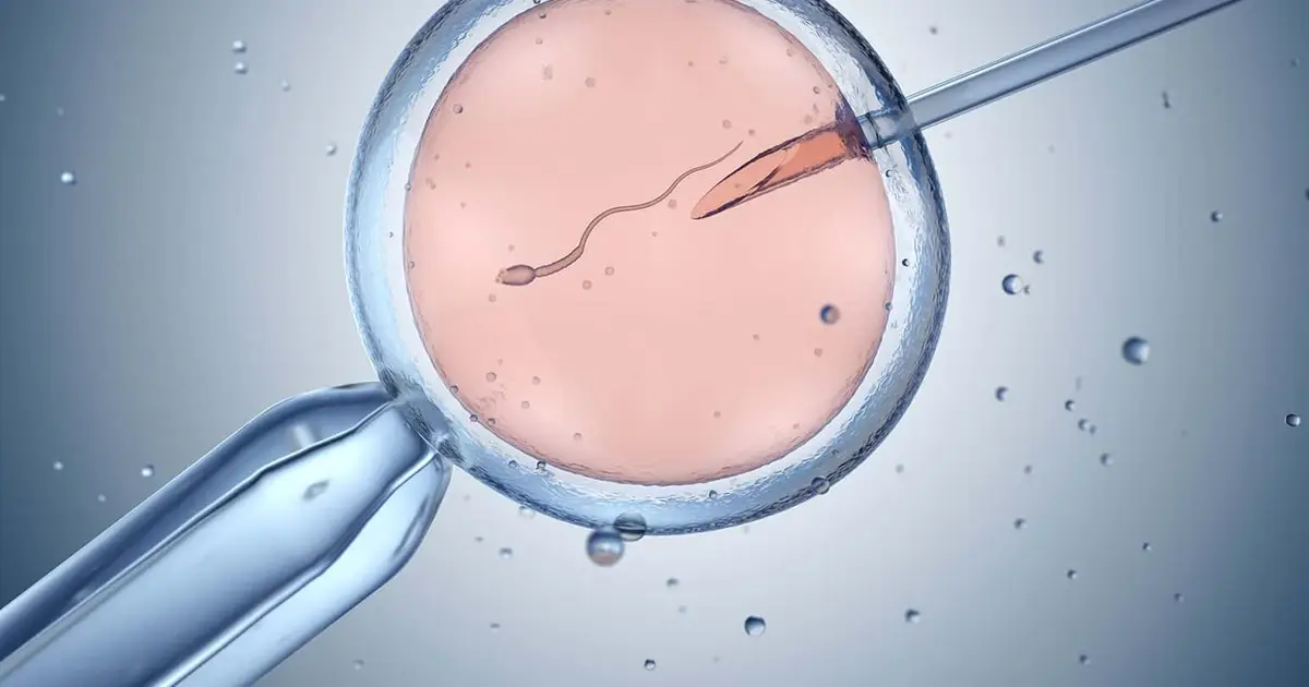 A Record Number of Women Over 40 Are Using IVF to Have Babies on Their Own Rather Than Waiting for a Partner