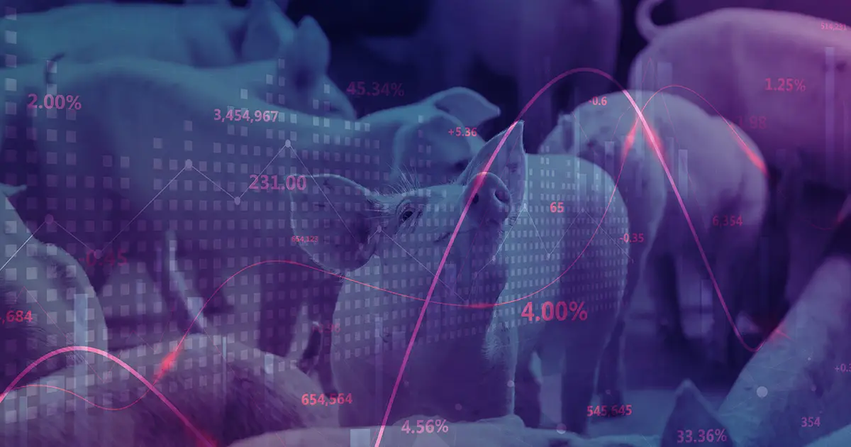 Weekly pig report : Pig producers raise alarm as California Prop 12 moves forward in the Senate