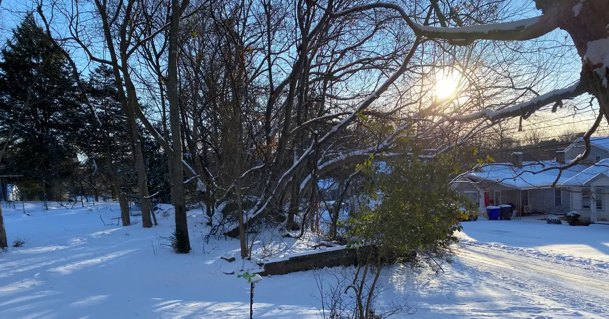 Photo Gallery : Winter Storm Gianna Brings Snowy Weekend To The Triangle