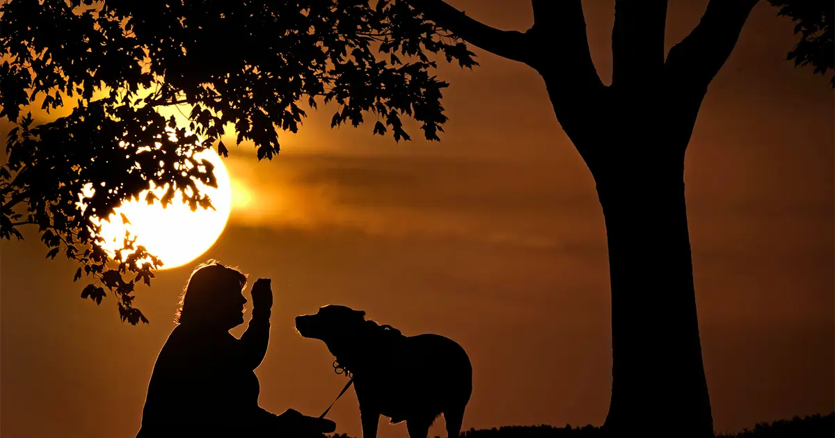 How Daylight Saving Time Changes Affect You and What You Can Do About It