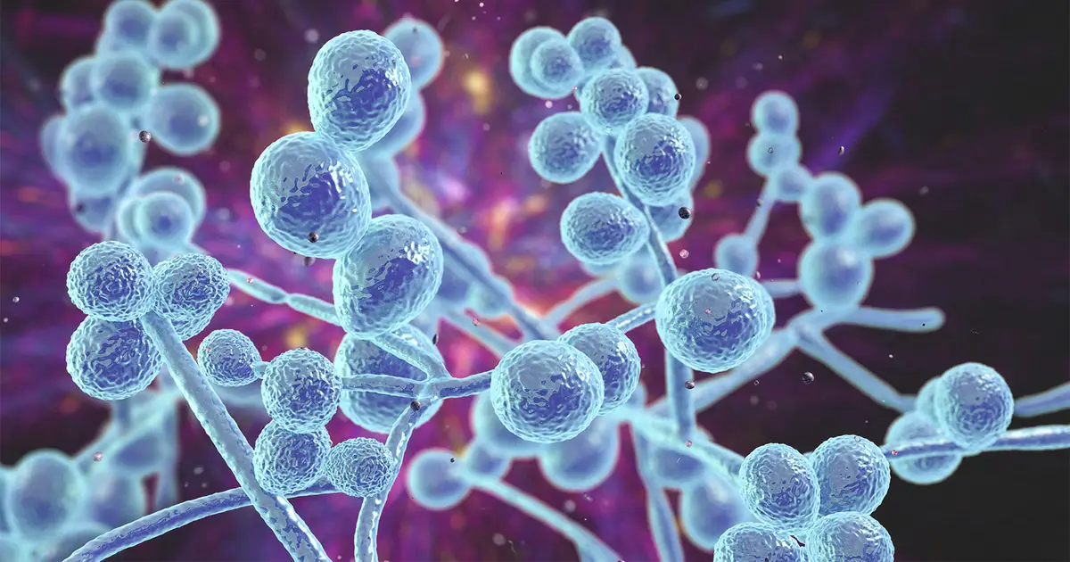 CDC Says These Superbugs Kill 50,000 Americans Per Year
