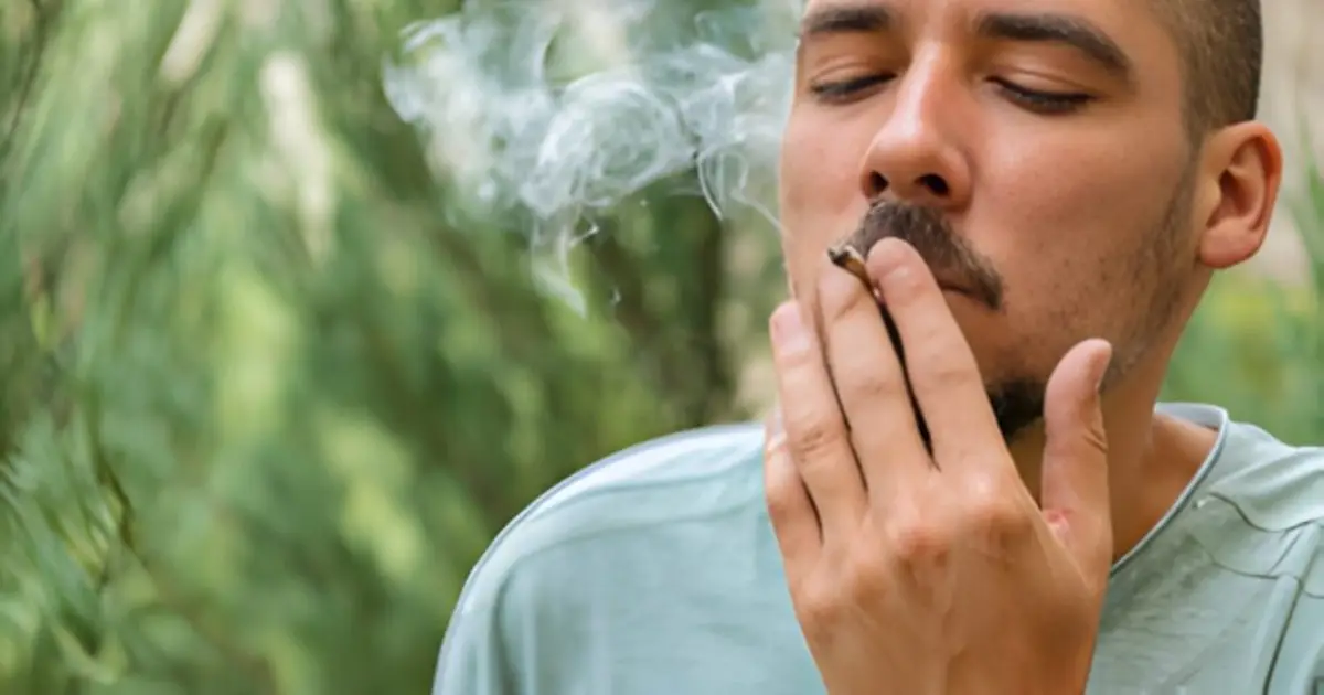 NORML Argues in Supreme Court Brief That Disarming Cannabis Consumers Is Unconstitutional