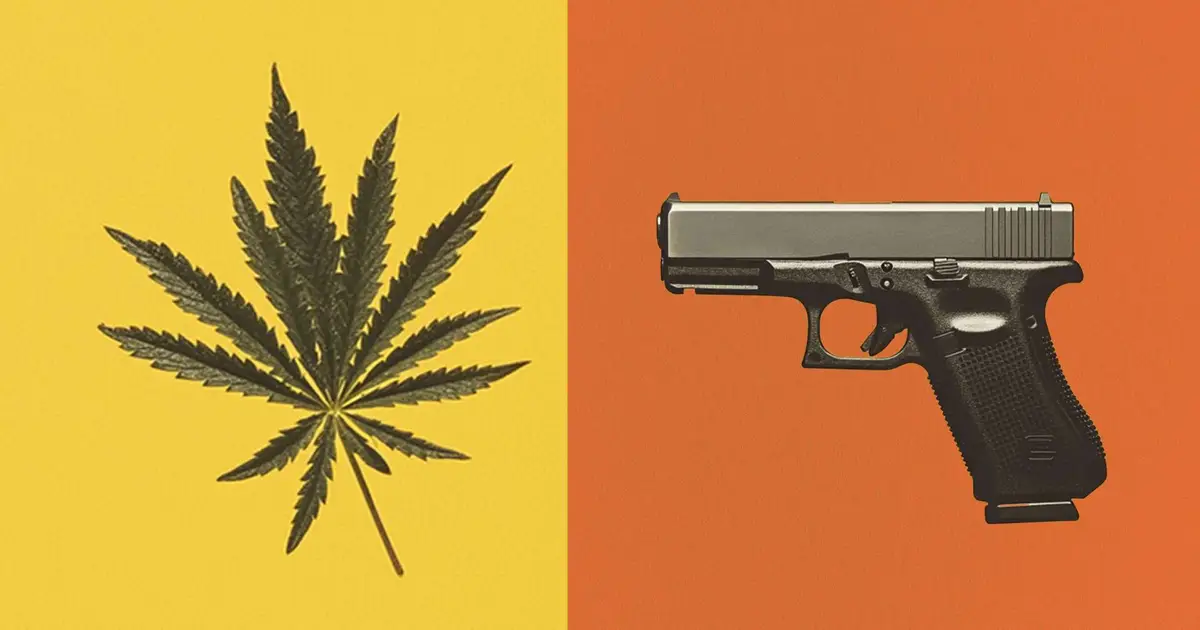 Disarming millions of Americans based on marijuana use is unconstitutional , a SCOTUS brief says