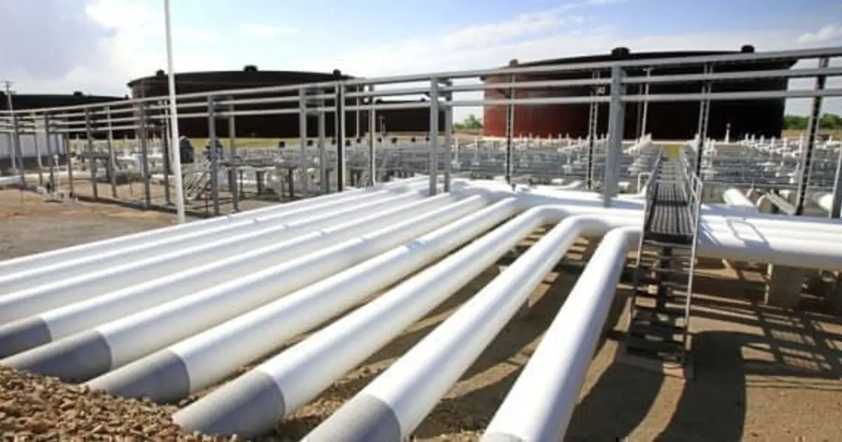 US Sees Big Gains in Crude Oil , Product Inventories