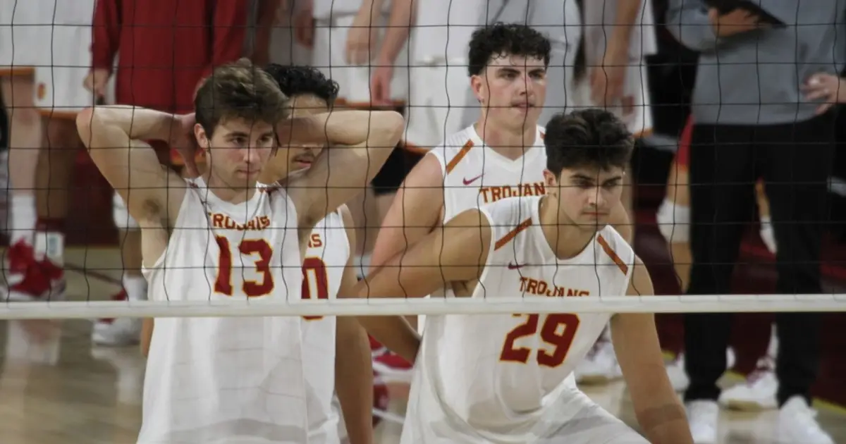 Big cats vanquished by No . 4 men volleyball