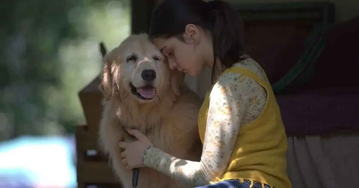 ‘Rain Reign’ Review: Paul Rudd And Jeremy Sisto In A Tender And Heartwarming Girl And Her Dog Story – Tribeca Festival