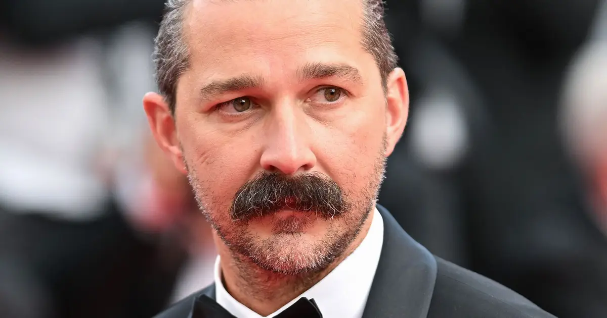 Shia LaBeouf Pleads Guilty To Punching People During Mardi Gras